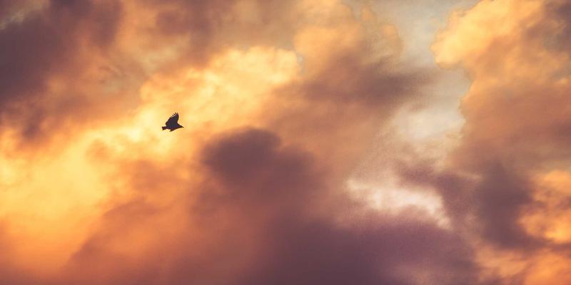 南宁扬美古镇:明清建筑保护现状调查,千年风韵何去何从?