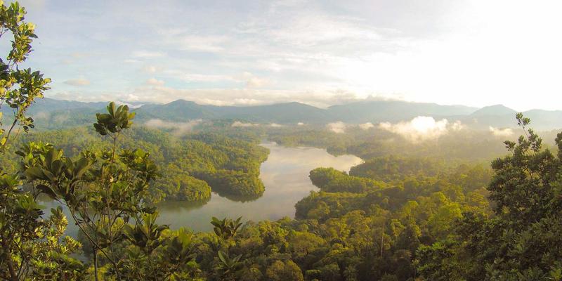 南宁淘货地图:从淡村市场到线上社群,解锁本地人的宝藏捡漏指南