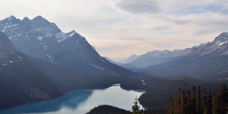 绿城南宁再启航：中年再就业指南与政府补贴技能培训全攻略