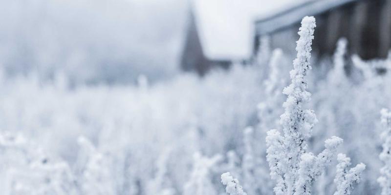 绿城南宁退休生活全攻略:从社区选择到美食打卡,开启银发黄金时代